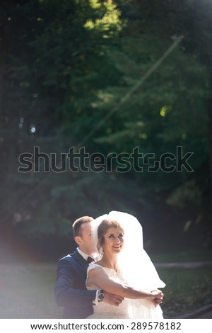 beautiful happy stylish bride with elegant groom  on the background of  beautiful trees in the autumn park