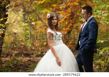 elegant stylish groom with his happy gorgeous brunette bride on the background of trees in the park