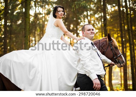 beautiful stylish bride sitting on a horse, groom holds the bridle, forest, sunset