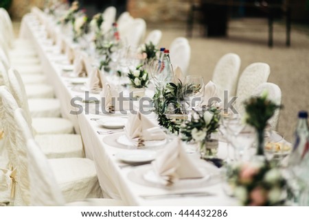 Olive branches stand between glassware on a dinner table