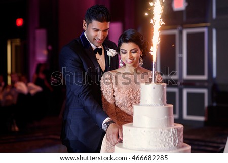 Handsome brunette groom takes Indian bride's hand carefully to cut a wedding cake