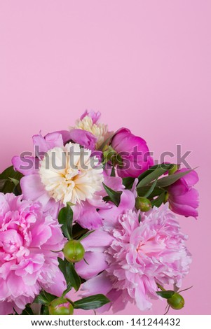 bouquet of peonies on a pink background