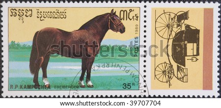 Kampuchea - Phnom Penh, circa 1989: Postal stamp Kampuchea circa 1989. Vintage stamp depicting an breed of horse Freiberger