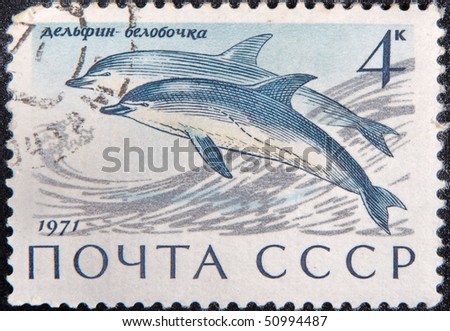 USSR - CIRCA 1971: Postal Vintage stamp depicting Dolphins, circa 1971