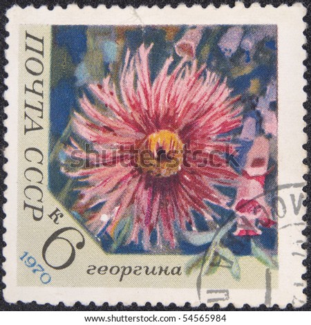 USSR- MOSCOW - CIRCA  1969: Postal stamp USSR circa 1969. Vintage stamp depicting Dahlia