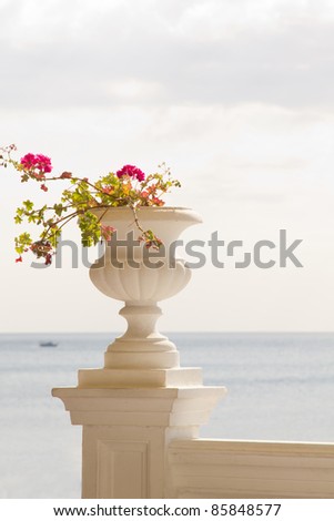 Vase of flowers against the sea