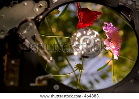 Reflection of flowers on Disk Drive