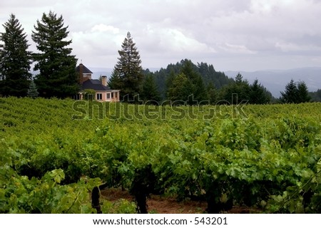 Wine Country Real Estate
