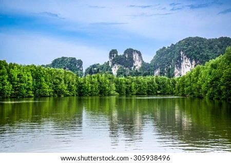 Mangrove forest, Beautiful blue sky and tropical mangrove forest at Krabi,Thailand. Intertidal forest. important for ecology coast and co-operation community. Background