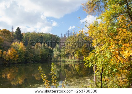 autumn landscape, trees with yellow leaves on the river bank