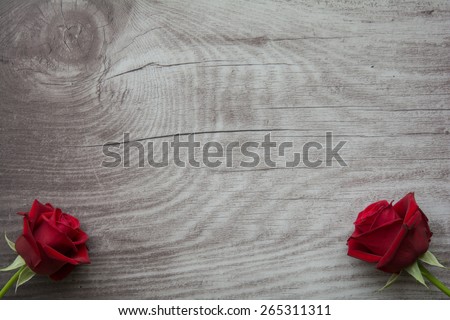 Red roses on background with space for text