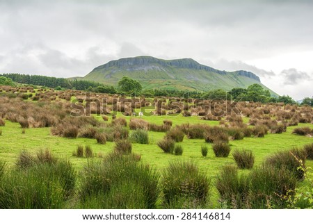 Colorful meadow close to Sligo, Connacht, Republic of Ireland in Ireland