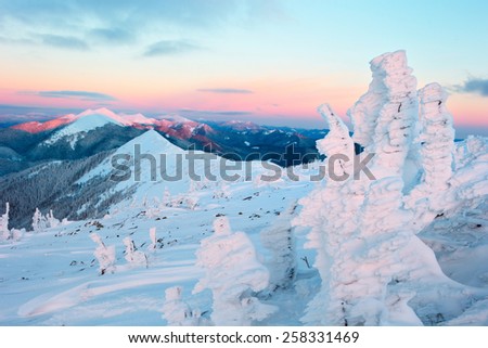 mountain range in the Carpathian Mountains covered in snow and snow-covered trees