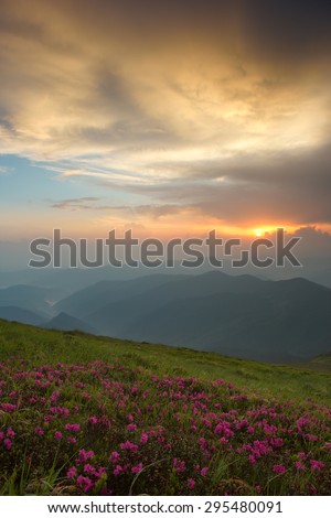 Carpathian mountains, the sky big storm cloud lit red and yellow light, the sun looks through a hole in the cloud, foreground rodydendron.