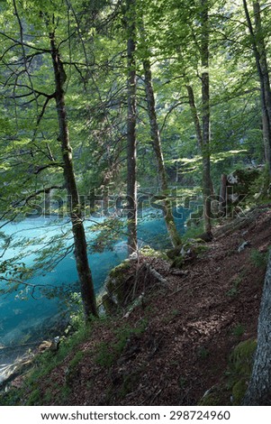 Holiday with emerald reflections in the woods - Fusine lower lake - Friuli