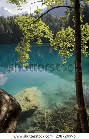 Holiday with emerald reflections in the woods - Fusine lower lake - Friuli