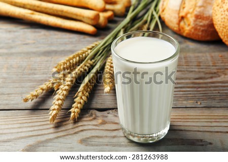Fresh, homemade milk in a cup made of glass on a wooden table. Next to a glass of milk lay spikelets of wheat, freshly baked bread and breadsticks. rustic style