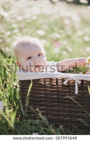 Cute little baby-boy sitting in a brown basket with chamomiles in a chamomile field. Summer mood