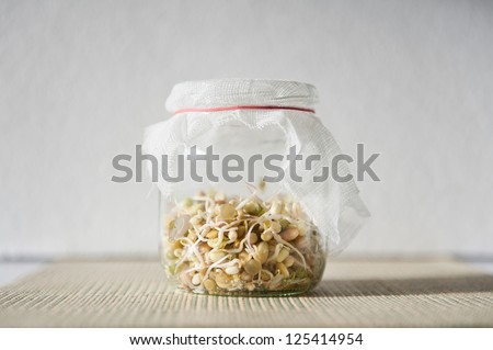 Mix of fresh sprouts growing in glass jar with bandage standing on mat, domestic horticulture of healthy plants and seeds, detail of jar in horizontal orientation, nobody.