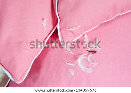 White feathers leaking out of pink cotton pillow without cover, pillows filled with fluff or feathers picked out, objects in horizontal orientation, nobody.