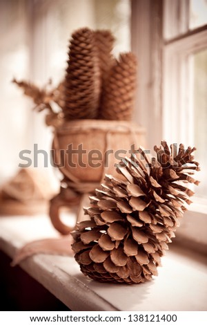 Group of large old dried cones on windowsill sepia toned still life, cone zoom, decorative object inside in horizontal orientation, nobody.