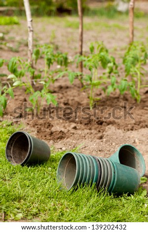 Many plastic empty flowerpots of tomato plants, objects lying on the ground, Solanum lycopersicum planting in private allotment in Poland. Vertical orientation, nobody.