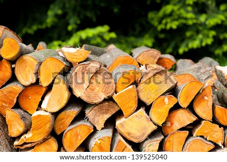 Many alder logs wood split heap, stumps and chopped logs of deciduous wood lying on the ground, objects in horizontal orientation, nobody.