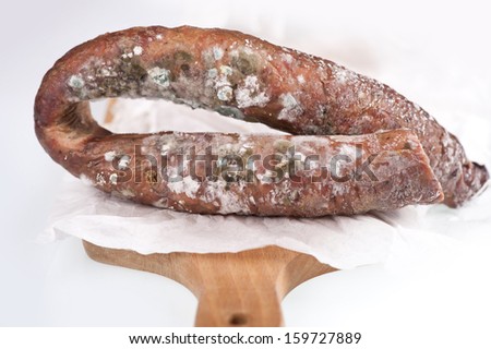 Ring of toxic mold on smoked sausage on white paper, old food with toxic mold or mould lying on paper. Nobody, horizontal orientation.