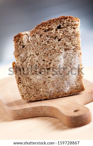 Single moldy bread portion, slice of food with toxic mold or mould with plenty colored spores lying on wooden board with blurred background. Nobody, vertical orientation.