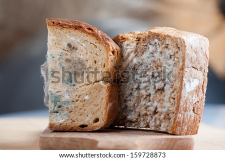 Two moldy bread portions, slices of food with toxic mold or mould with plenty colored spores lying on wooden board with blurred background. Nobody, horizontal orientation.