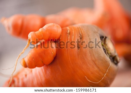 Fresh raw deformed carrot roots and forks detail, studio shot, horizontal orientation, nobody.