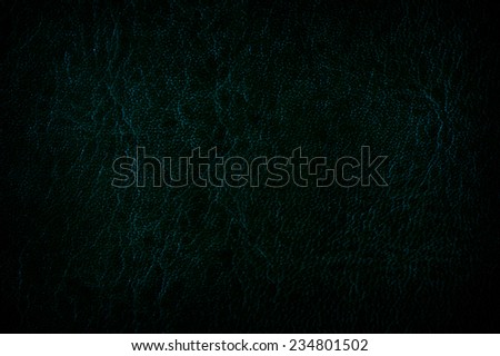 Dark green grunge leather sheet texture abstract, gloomy tinted leather imitation, wrinkled material surface background in horizontal orientation, nobody