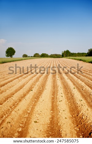 Ploughed agriculture field empty ground rows in Poland, Europe, vertical orientation view, nobody, rural bucolic landscape in sunny day with clear blue sky.