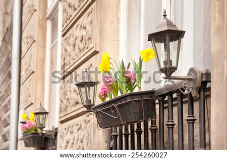 Spring flowers in window, daffodil and hyacinth flowering plants growing decoration in plastic long flower pot attached to window fence between ornamental lanterns, balcony imitation exterior, Poland.