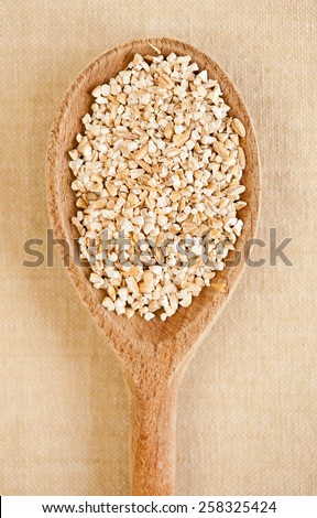 White pearled barley groats, coarsely grains portion on wooden spoon closeup, healthy raw food heap in day light, vertical orientation, nobody.