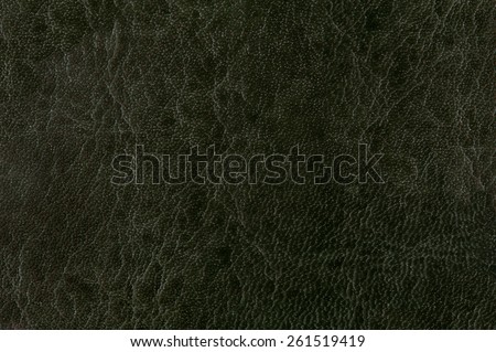 Green porous leather sheet texture abstract, dark dreary tinted leather imitation, wrinkled material surface background in horizontal orientation, nobody
