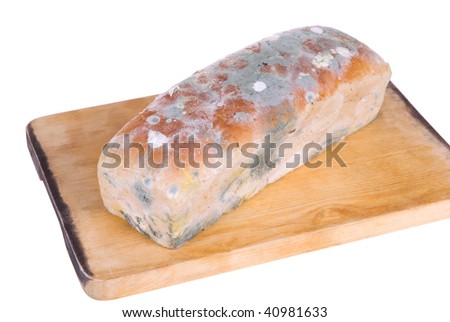 [Obrazek: stock-photo-old-bread-with-foul-mold-on-...981633.jpg]