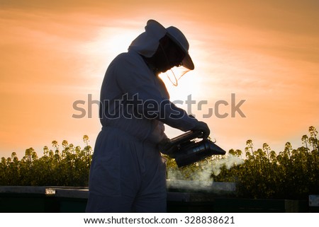 Silhouette of  happy young beekeeper working in the field of yellow flowers on sunset