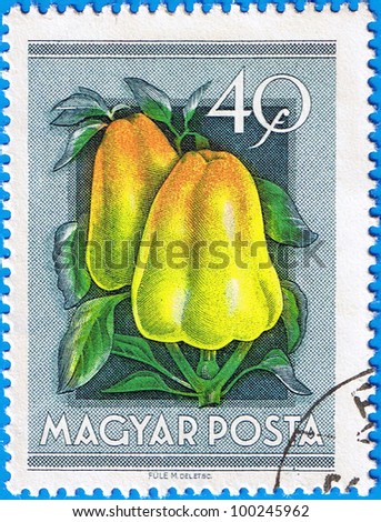 HUNGARY - CIRCA 1954: A stamp printed in Hungary shows Peppers, series is devoted to fruits, circa 1954