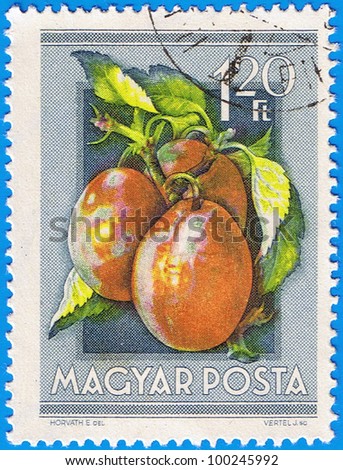HUNGARY - CIRCA 1954: A stamp printed in Hungary shows Plums, series is devoted to fruits, circa 1954