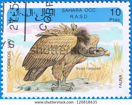 WESTERN SAHARA - CIRCA 1993: A stamp printed in Western Sahara shows Ruppell\'s Vulture or Gyps rueppelli, series devoted to the birds, circa 1993