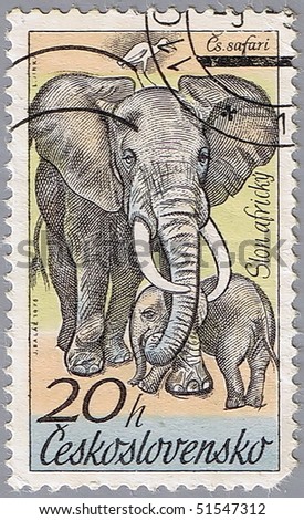 CZECHOSLOVAKIA - CIRCA 1976: A stamp printed in Czechoslovakia shows an elephant, a series of African animals in Dvur Kralove Zoo, circa 1976