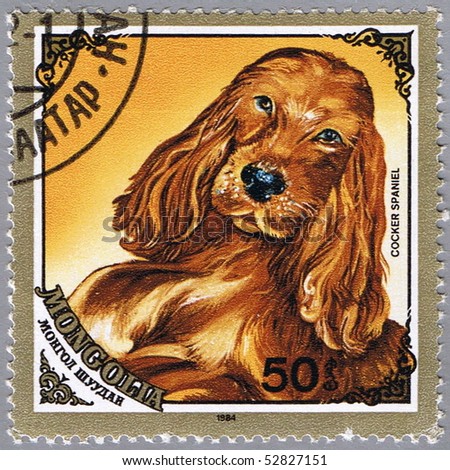 MONGOLIA - CIRCA 1984: A stamp printed in Mongolia shows Cocker Spaniel, series devoted to the dogs, circa 1984