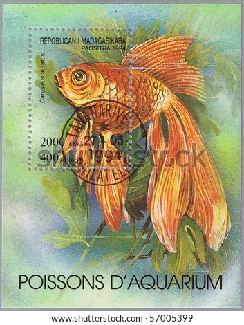 MALAGASY REPUBLIC - CIRCA 1994: A stamp printed in Malagasy Republic shows Carassius auratus, series devoted to aquarium fish, circa 1994