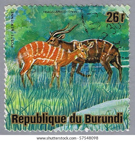 REPUBLIC OF BURUNDI - CIRCA 1975: A stamp printed in Republic of Burundi shows sitatungas, series, circa 1975