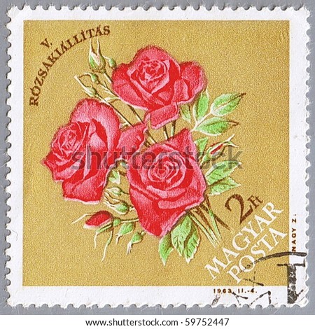 HUNGARY - CIRCA 1963: A stamp printed in Hungary shows roses, circa 1963
