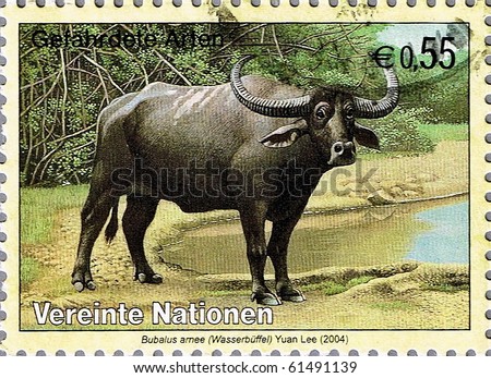 UNITED NATIONS - CIRCA 2004: A stamp printed in United Nations shows Wild water buffalo, series, circa 2004