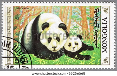 MONGOLIA - CIRCA 1990: A stamp printed in Mongolia shows an adult giant panda and cub, series, circa 1990