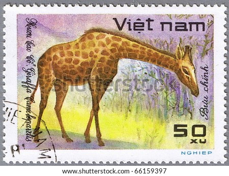 VIETNAM - CIRCA 1981: A stamp printed in Vietnam shows giraffe, series is devoted to wild animals, circa 1981