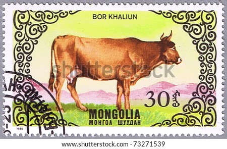MONGOLIA - CIRCA 1985: A stamp printed in Mongolia shows a cow breed Bor khaliun, a series devoted to cattle, circa 1985